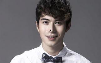 陈姓明星,璀璨星河中的璀璨星辰