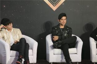 听歌猜明星.,揭秘那些隐藏在歌声背后的明星